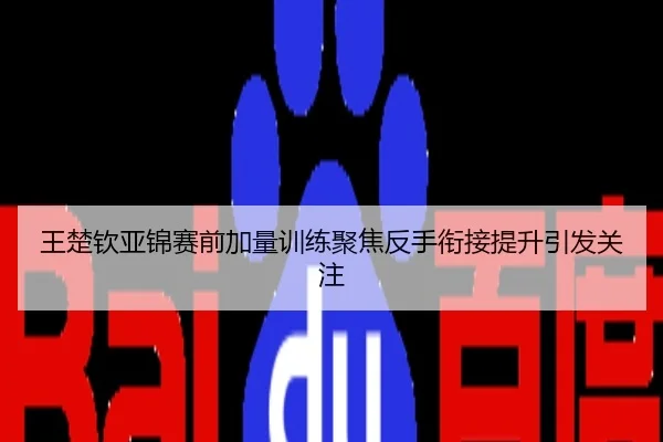 王楚钦亚锦赛前加量训练聚焦反手衔接提升引发关注